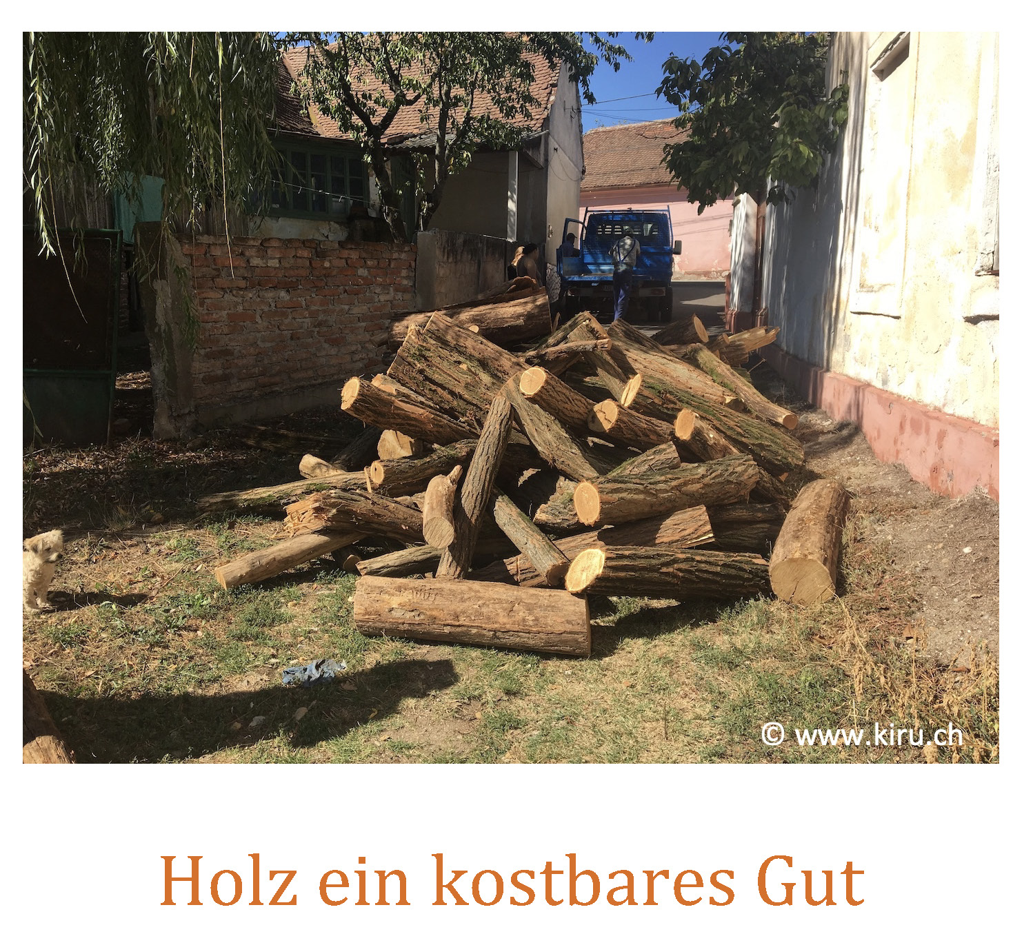 THolz ein kostbares Gut